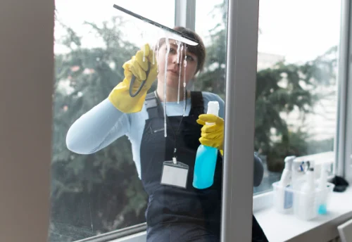 Nettoyage de vitres intérieures et extérieures à Doussay